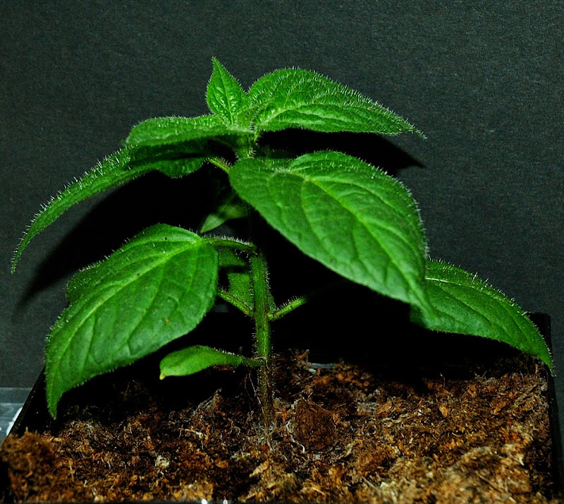 2014-12-26_P360.JPG
