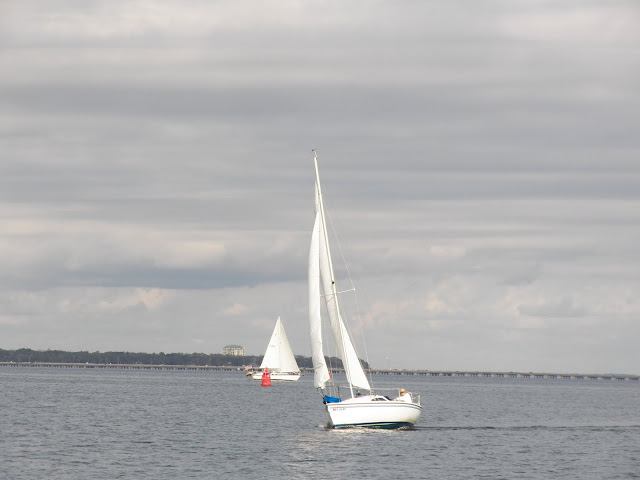 sailing