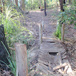 Old broken timber bridge on the track towards Abbotts Falls in the Watagans (65156)
