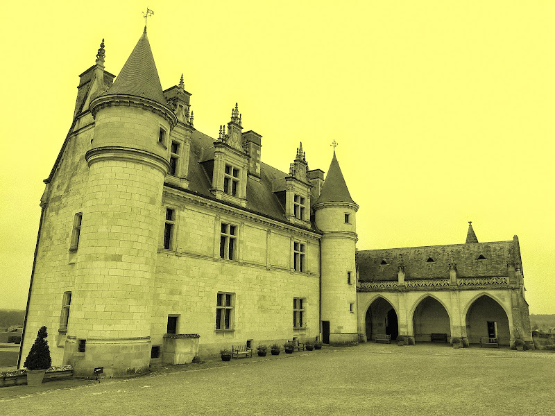 Chateaux de la Loire P1090858