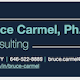 Bruce Carmel Consulting
