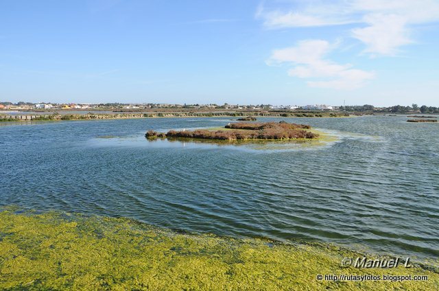 Sendero Salina Carboneros