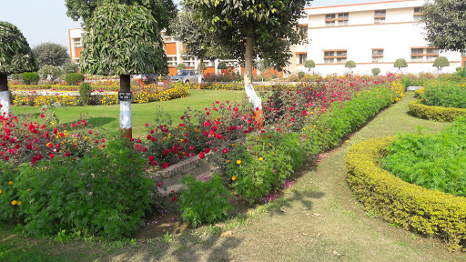 Takshila convent school, Thiriya Rd, Civil Lines, Bareilly, Uttar Pradesh 243001, India, School, state UP