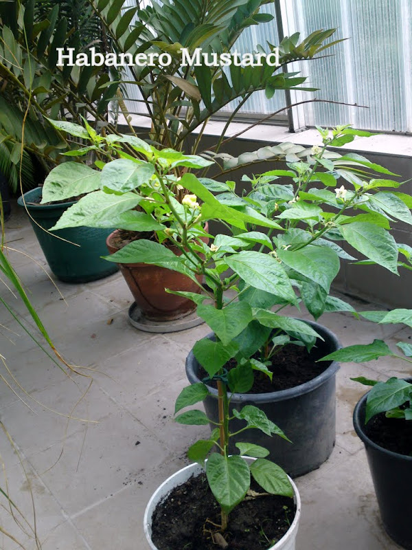 13052012587.JPG