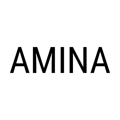 Amina shop logo
