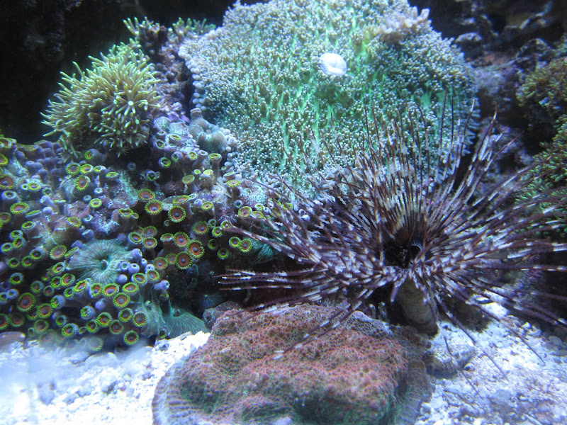 IMG_0146.JPG