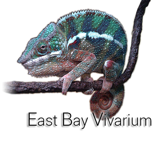 East Bay Vivarium logo