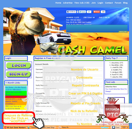 Guia de usuario de CashCamel Tutorial con Imagenes Tutoriales-CashCamel02