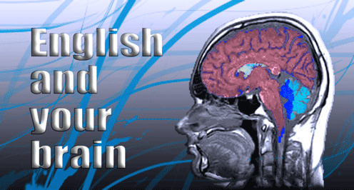 Far West - English and your Brain