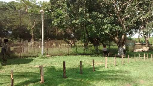 Cerrado Paintball, Núcleo Rural Ponte Alta - Gama, Brasília - DF, 72400-000, Brasil, Paintball, estado Distrito Federal