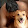 Alexander Steff Alexander Steff's profile photo