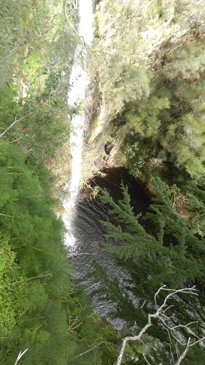 Utopia @ Waterfall Gully