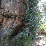 Track passing a rock wall (177861)