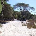 Track away from Hobart Beach to camping area (105073)