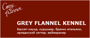 Colibry и компания Grey_flannel_banner_310x131