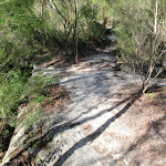 Top of the Natural Bridge (127375)