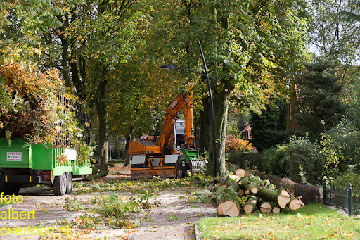 Bomen gekapt Museumlaan in overloon 20-10-2014 (1).jpg