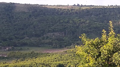 Photos of Restaurante Monserrate