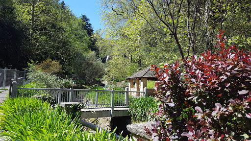 Utopia @ Waterfall Gully