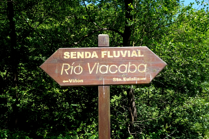 Senda Fluvial del Río Viacaba (Cabranes) - Descubriendo Asturias (8)