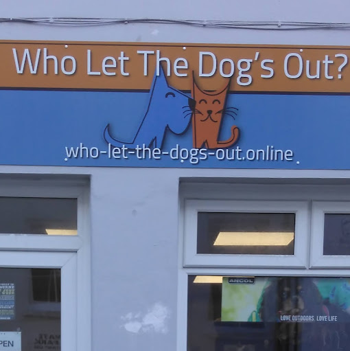 Who let the dogs out?