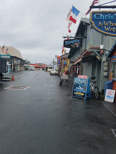 Chris' Fishing and Whale Watching