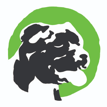 Discover Dogs logo