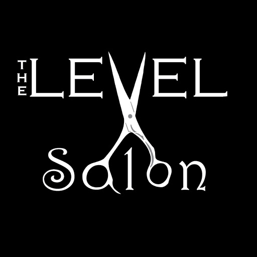 The Level Salon logo