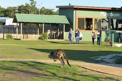 Photos of Maru Koala and Animal Park