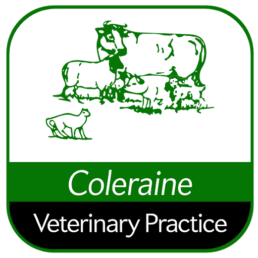 Coleraine Veterinary Practice