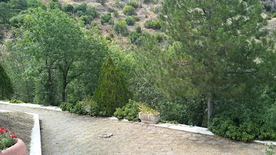 Photos of Orhangazi Cami