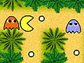 Pacman Jungle