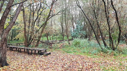 Parc de Mussonville
