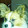 Richard Semmens Richard Semmens's profile photo
