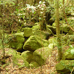 Large rocks in creek by moist rainforest in the Watagans (323978)