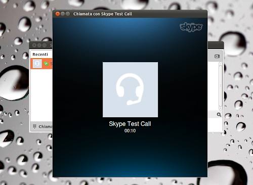 Skype 4.0 per Linux - visualizzazione chiamata