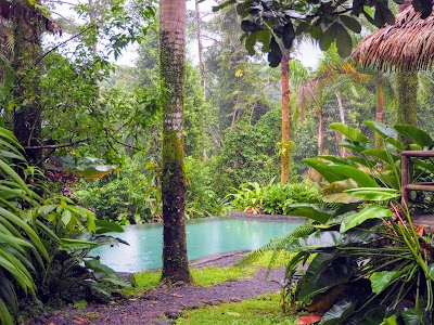 Photos of SarapiquiS Rainforest Lodge
