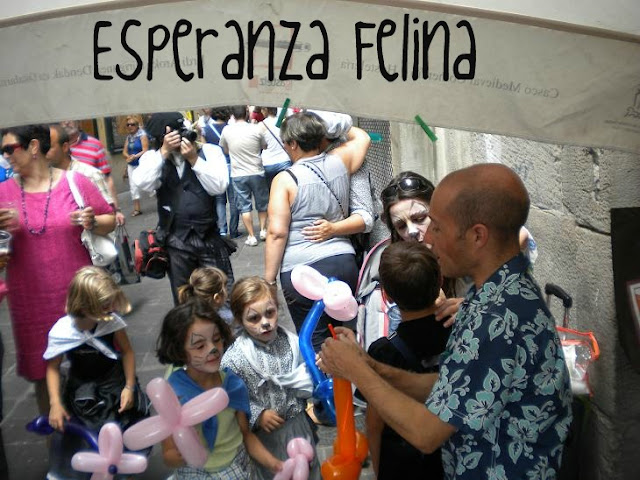 mercado - Esperanza Felina en "El Mercado de La Almendra" en Vitoria - Página 9 DSCN5402