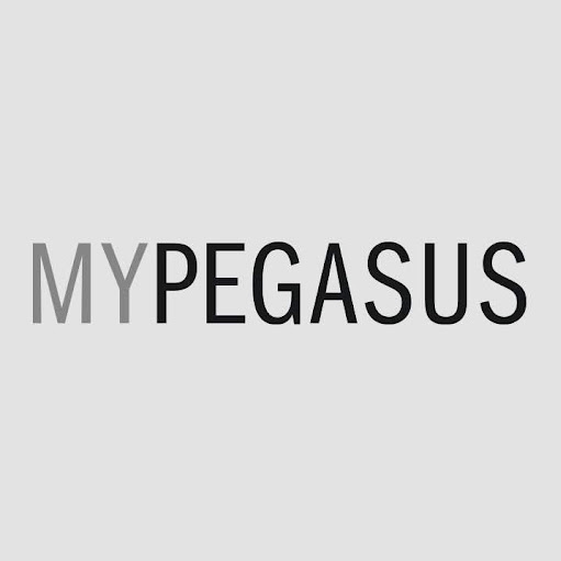 MYPEGASUS GmbH Stuttgart logo
