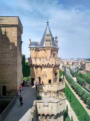 Castillo olite