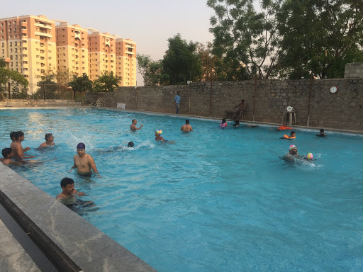 Dolphin Swimming Pool, No. 91, SVK, Madhava Reddy Colony, Gachibowli, Hyderabad, Telangana 500032, India, Swimming_Pool, state TS