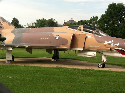 Rose gang fighter jet