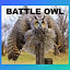 Authentic Owl's user avatar