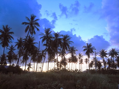 Майский Тай (Бангкок-Самуи-Тао)