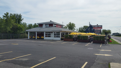 Cantine LA FRINGALE
