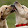 Santiago Garrido Norte Santiago Garrido Norte's profile photo