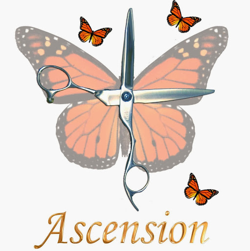 Ascension Salon logo