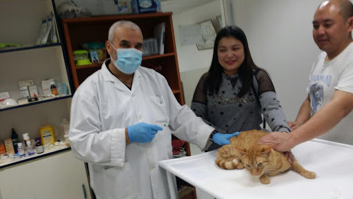 New Veterinary Clinic, 9th St - Abu Dhabi - United Arab Emirates, Veterinarian, state Abu Dhabi