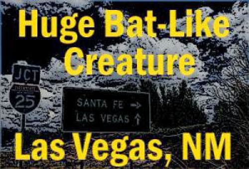 Huge Bat Like Creature Reported Near Las Vegas New Mexico