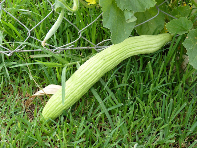 huerta huerta
